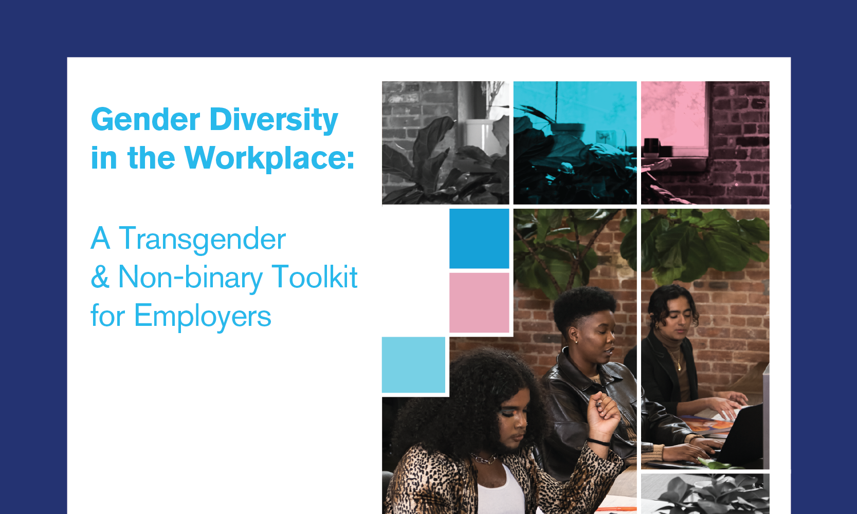 HRC Foundation | Trans Toolkit for Employers