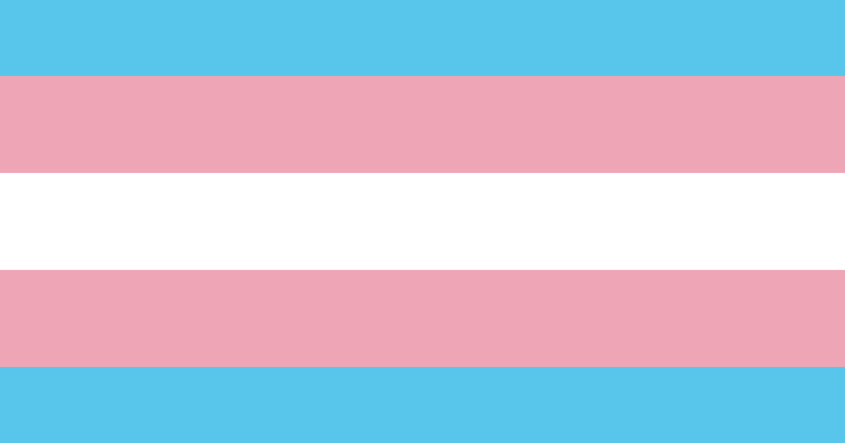 Transgender Justice Initiative - Vimarsana News