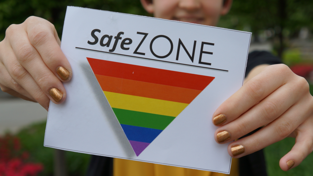 Establishing An Allies Safe Zone Program Hrc