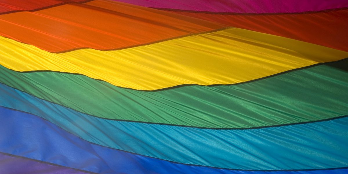 Human Rights Campaign Endorses 11 Transgender and Non-Binary State Legislative Candidates - Vimarsana News